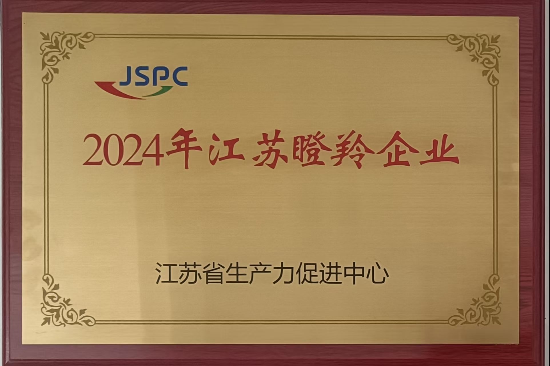 High-Growth 'Gazelle' Enterprise