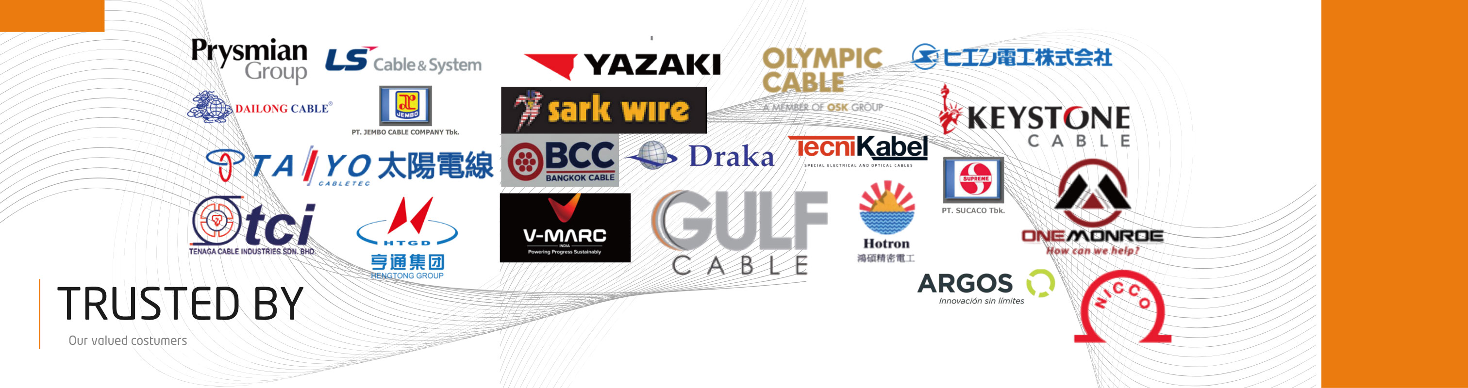 List of ABZ Global Customers